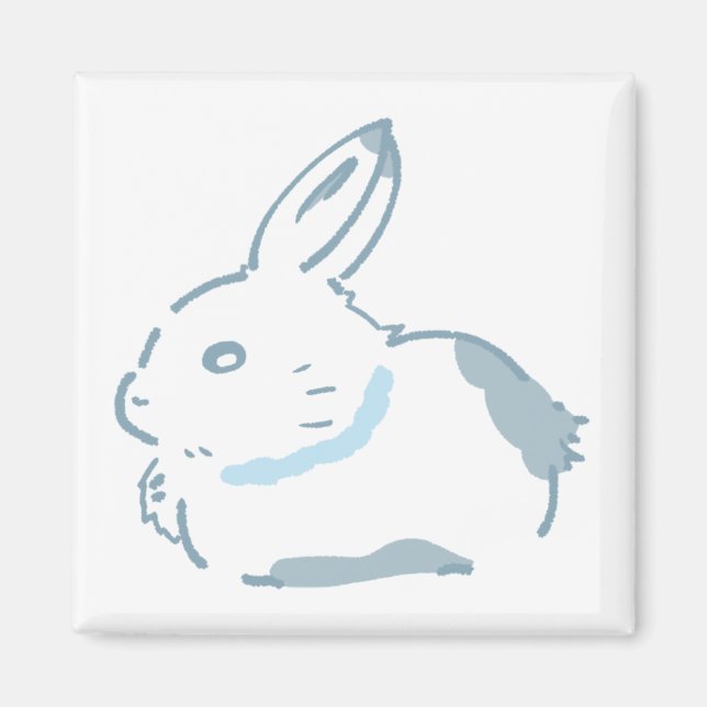 IMÃ 雪の中のうさぎ＆パステル水色デザイン (Frente)