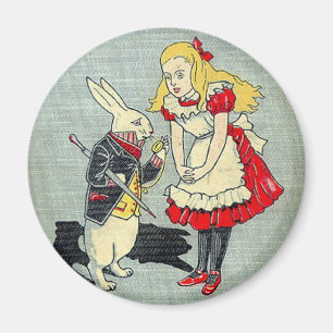 Imã 03 - Capa do livro de Alice