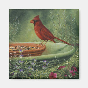 Imã 0487 Magneta cardeal