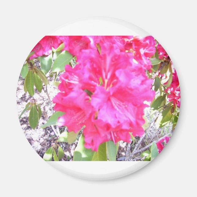 IMÃ 100.292 (Frente)