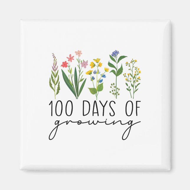 Imã 100 Dias De Escola Professor 100 Dias De Crescente (Frente)