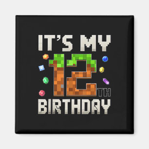 Imã 12 Aniversário De 12 Anos Menino De Aniversário Pi