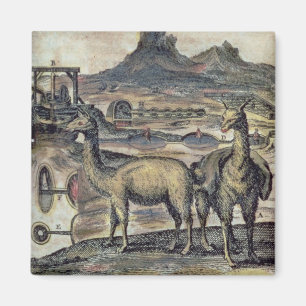 Imã 137-0627924 ilustração de uma história de Peru 