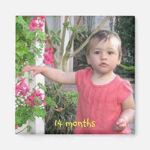 Imã 14 meses, 14 meses
