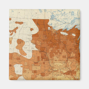 Imã 15 Proporção de parentesco estrangeiro branco 18