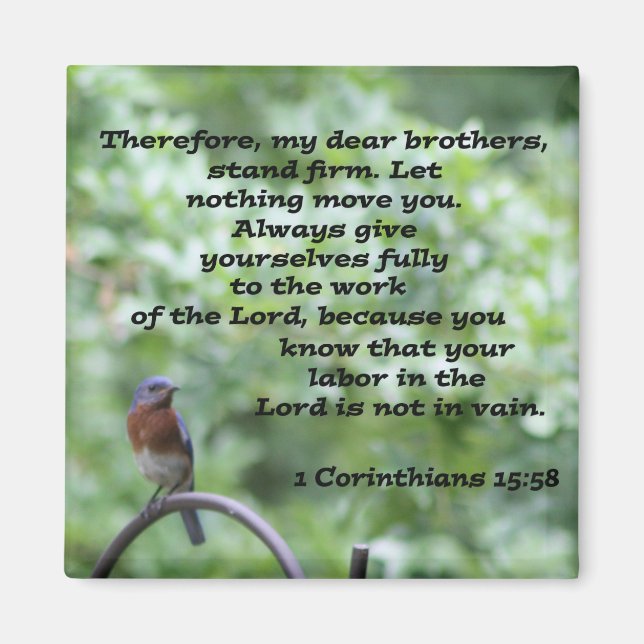 Imã 1 Corintianos 15:58 (Frente)