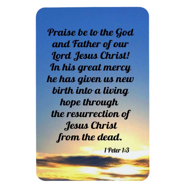 Ímã 1 Peter 1:3 (Vertical)