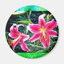 IMÃ 1STARGAZZERS MAGNET