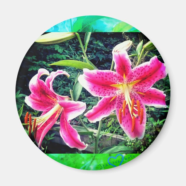 IMÃ 1STARGAZZERS MAGNET (Frente)