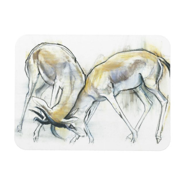 ÍMÃ 2009 5 (Horizontal)