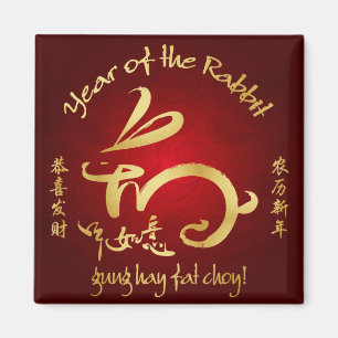 Imã 2011 anos do ano novo chinês do coelho