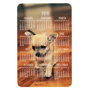 Ímã 2018 da foto do calendário da chihuahua 4x6