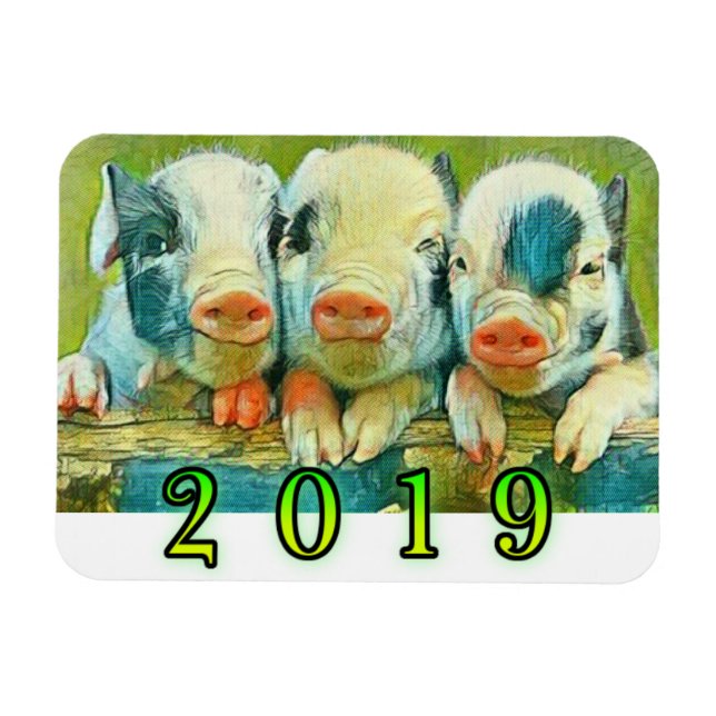 Ímã 2019 Ano do Porco (Horizontal)