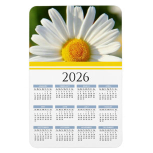 Ímã 2026 Bright Shasta Daisy Calendar Magnet
