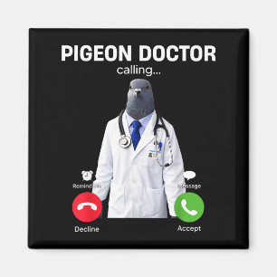 Imã 2026 novo meme de internet brainrot médico pombo