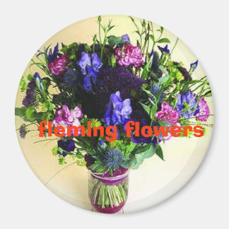 Imã 20 º fotos da casa 095, fleming fl...