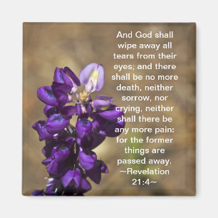 Imã 21:4 da revelação