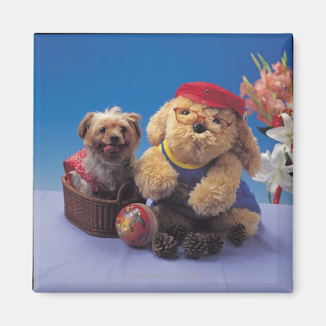 IMÃ 24095241 (Frente)