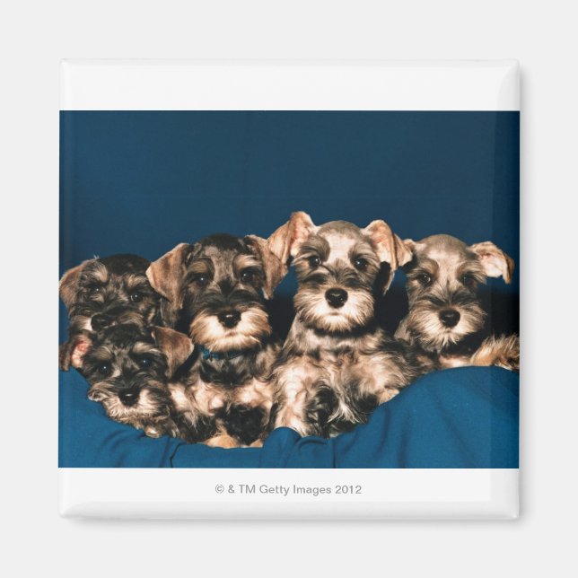 IMÃ 24117057 (Frente)