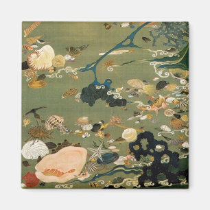 Imã 24. 貝甲図, escudos do 若冲, Jakuchū, arte d