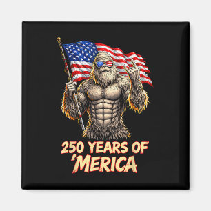 Imã 250 Aniversário EUA Bandeira Americana Patriótica