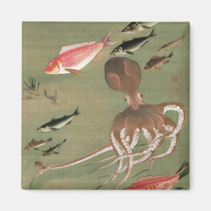 Imã 27. 諸魚図, vários peixes do 若冲, Jakuchū,