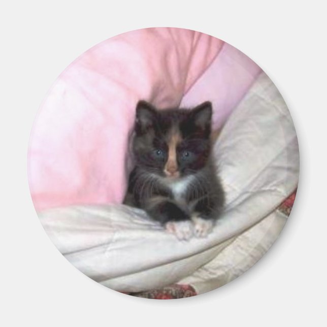 Imã 29154_Muffin-the-Cat_620 (Frente)