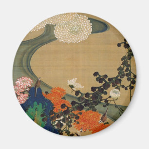 Imã 29. 菊花流水図, crisântemo do 若冲 & córr