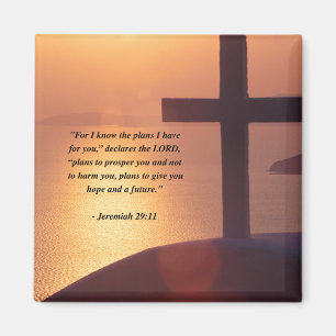 Imã 29:11 de JEREMIAH