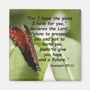 Imã 29:11 de Jeremiah (2)