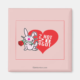 Imã 2 2 quentes B 4Got