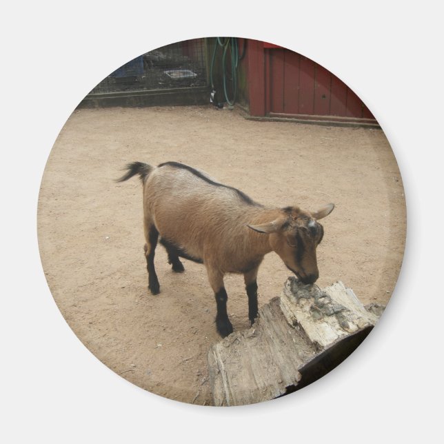 Imã 3 de abril (11) (Frente)