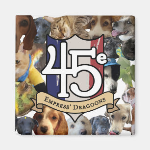 Imã 45e animais de estimação no seu frigorífico