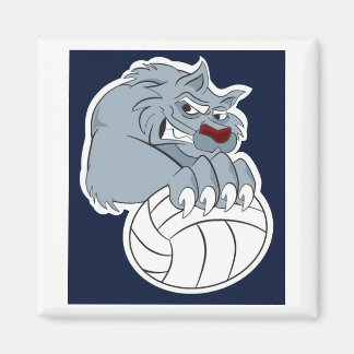 Imã 49ers | Calamita