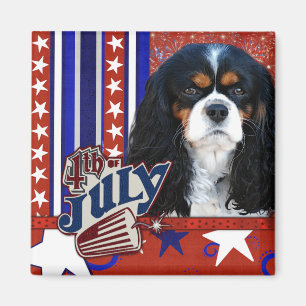 Imã 4 de julho foguete - Cavalier - Tri cor