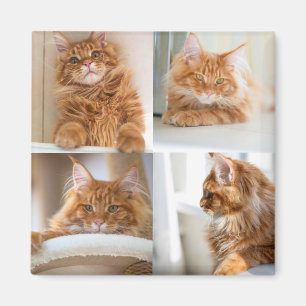 Imã 4 Quatro Cheio de Colagem de Fotografias