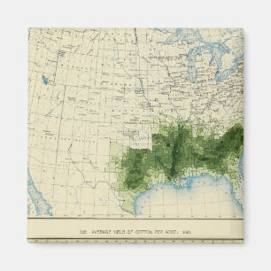 Imã 52 Algodão 1890