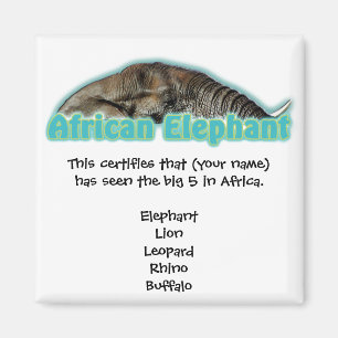 Imã 5 ímãs grandes do safari dos animais selvagens d