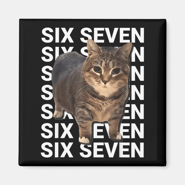 Imã 67 Gato Engraçado Seis Sete Meme Gen Z Alpha Humor (Frente)