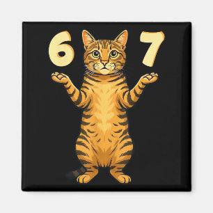 Imã 67 Meme de Gato Engraçado Gíria da Geração Alpha H