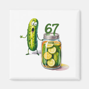 Imã 67 Meme Picles Surpresa Um Pote De Picles Fatiados