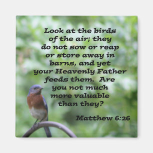 Imã 6:26 de Matthew