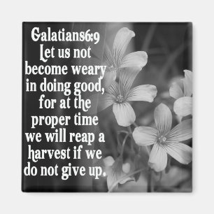 IMÃ 6:9 DA ESCRITURA GALATIANS DA BÍBLIA