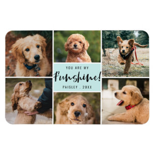 Ímã 6 Fotos Colagem Você É Meu Funshine Pet Aqua