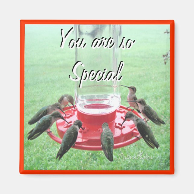 Imã 7 Hummingbird- personalizar (Frente)