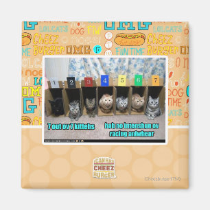 Imã 7 para fora kittehs do ov 7