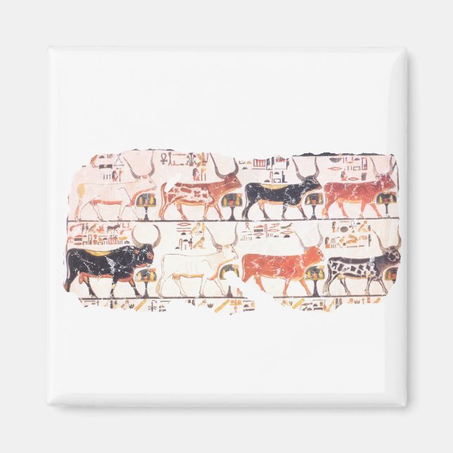 Imã 8 vacas (Frente)