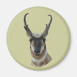 Imã A19 Pronghorn Antelope Dark Face Buck Head Shot