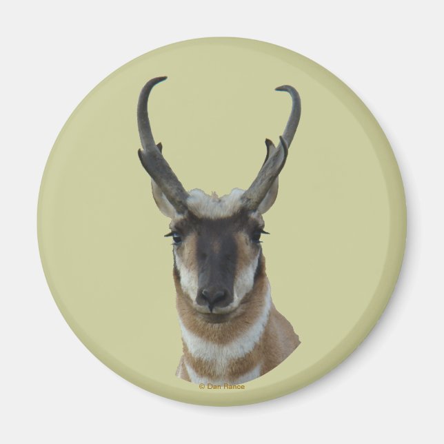 Imã A19 Pronghorn Antelope Dark Face Buck Head Shot (Frente)