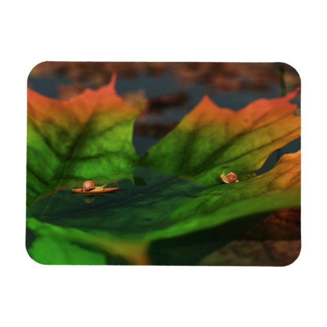 Ímã A Água É Um Grande Magneta Flexível (Horizontal)